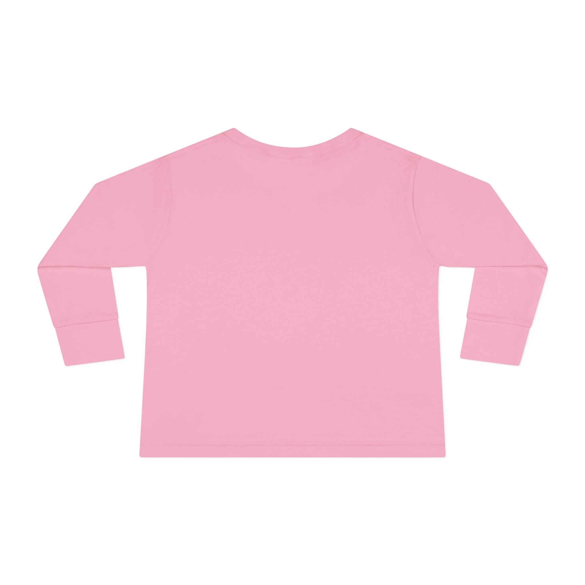 YMCA of the Rockies Toddler Long Sleeve Tee