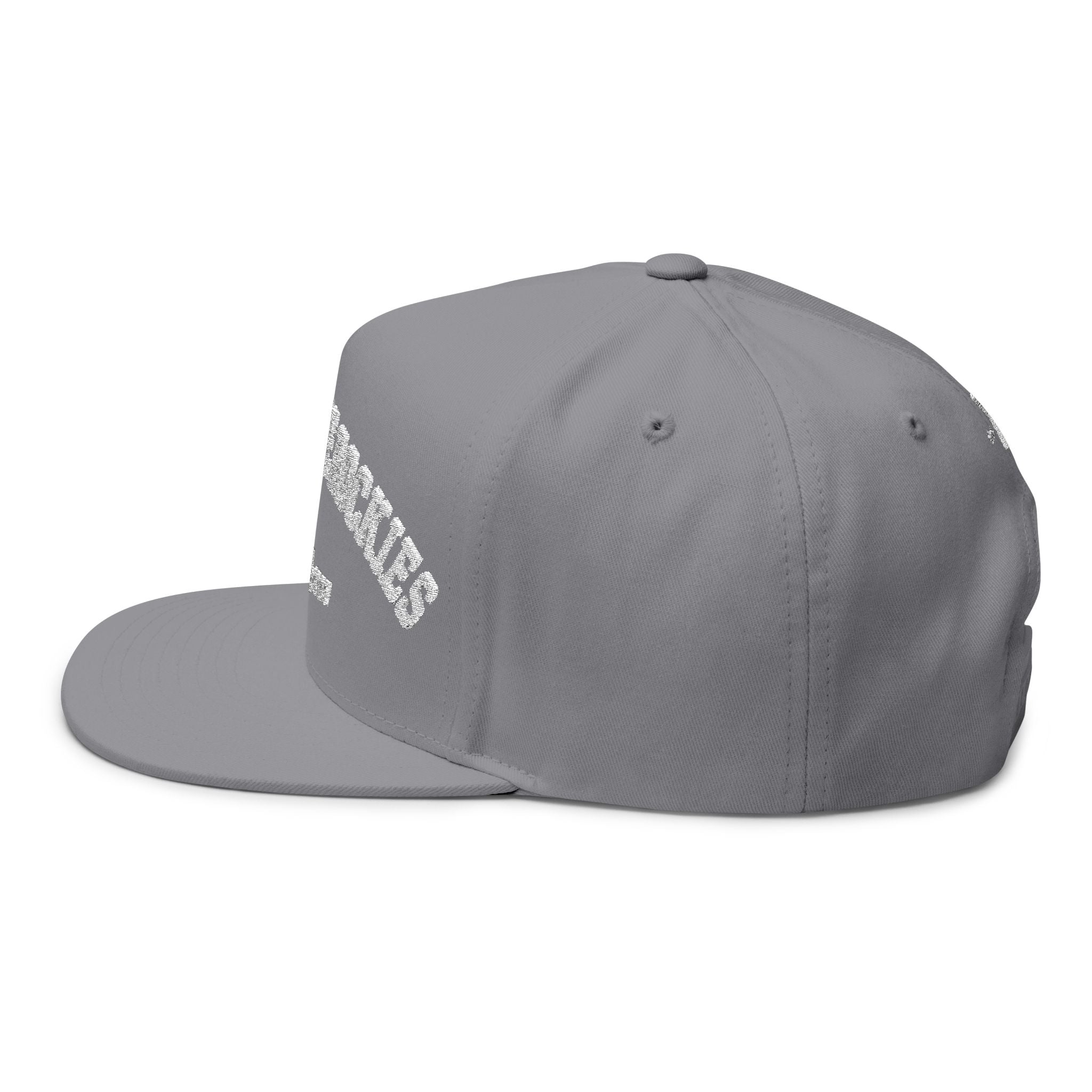 YMCA of the Rockies Retro Collegiate Flat Bill Cap