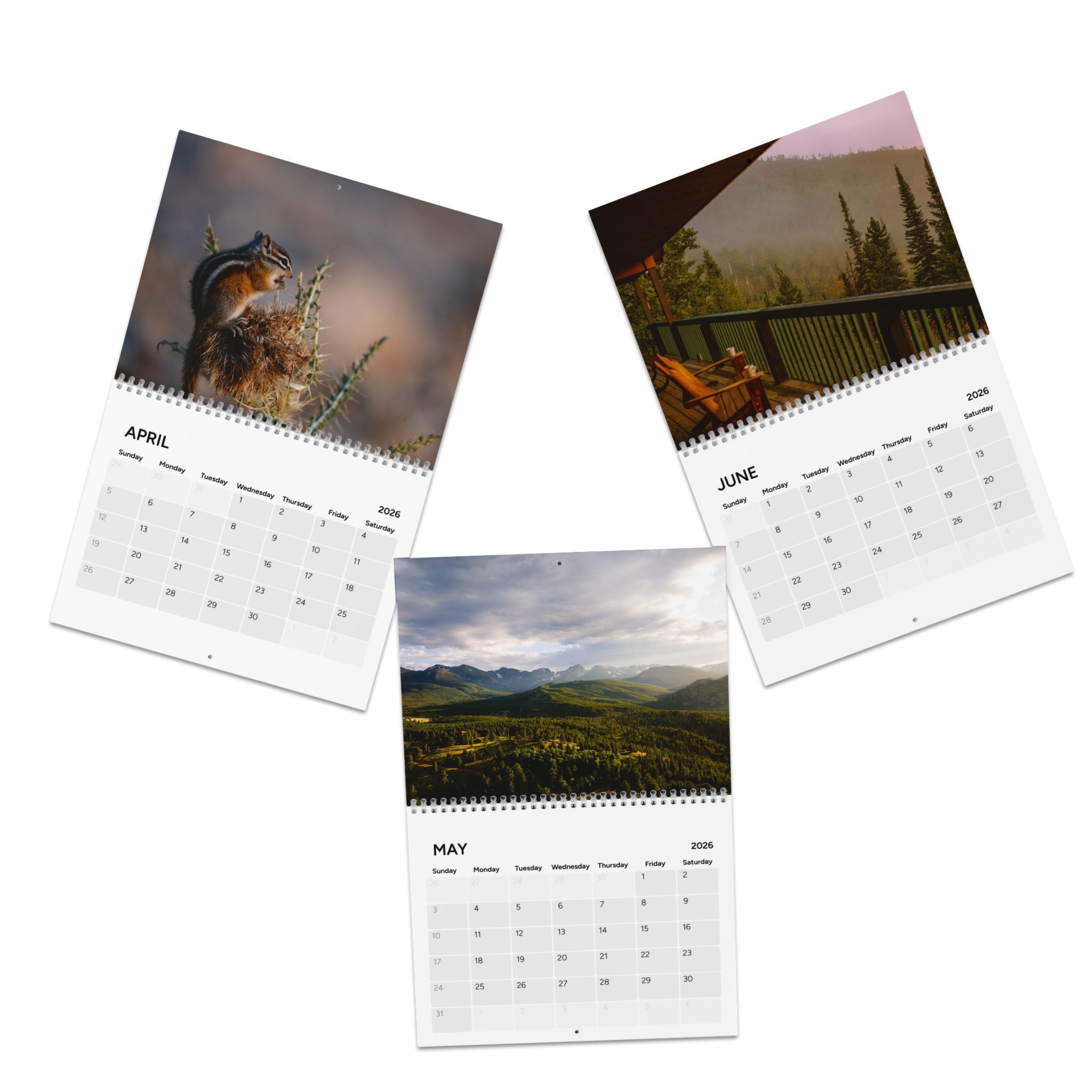 YMCA of the Rockies Nature-Themed Wall Calendar 2026 Wall Calendar