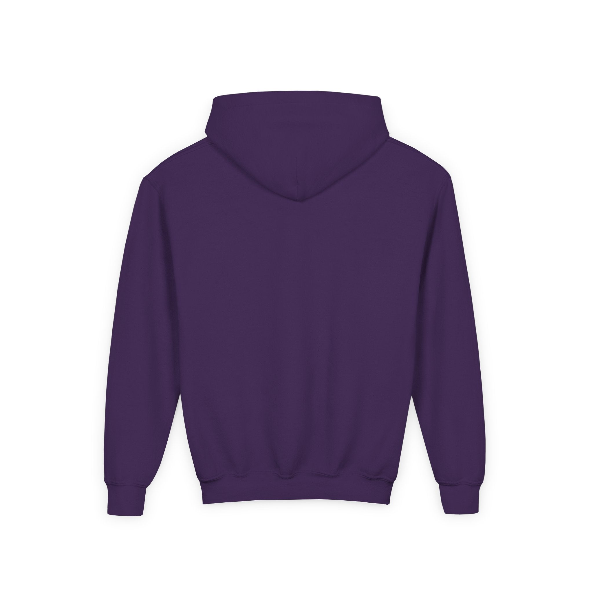 YMCA of the Rockies Youth Hoodie