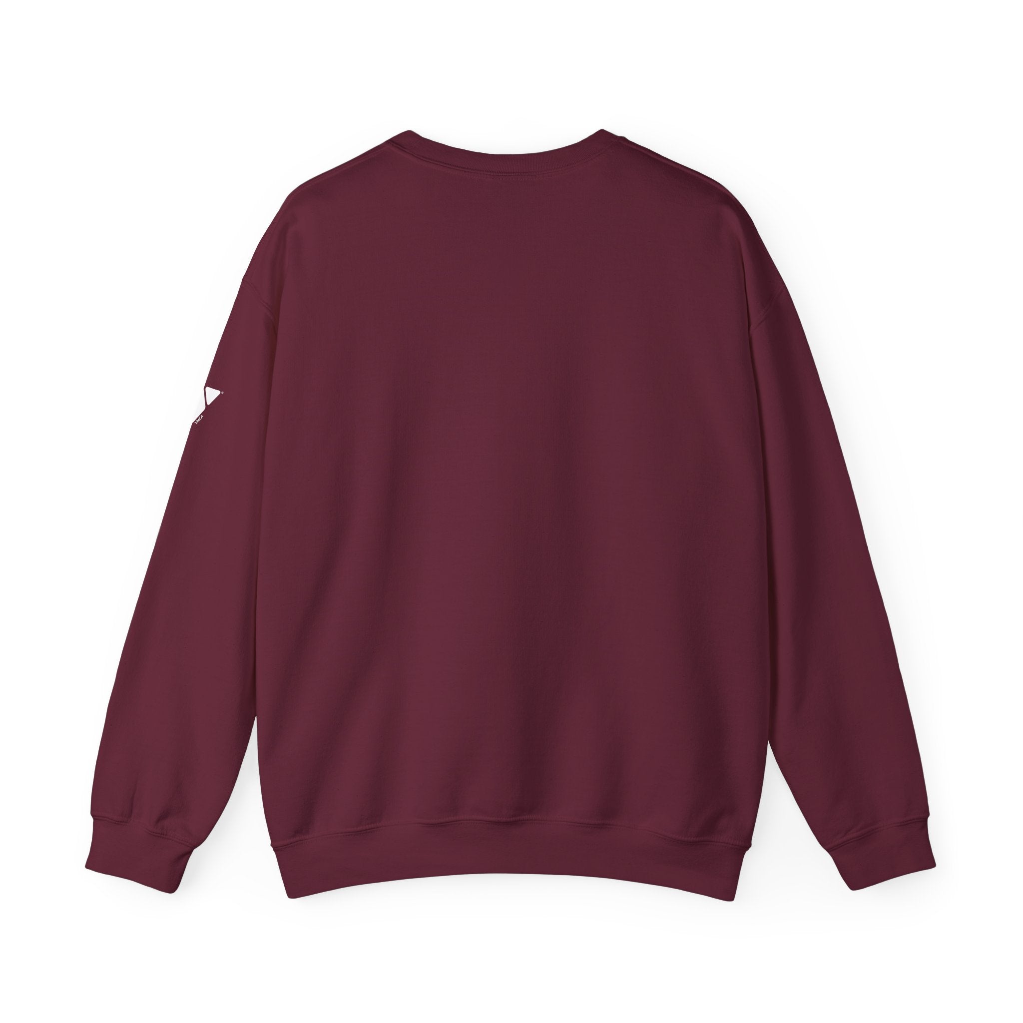 YMCA of the Rockies Retro Collegiate Sweatshirt