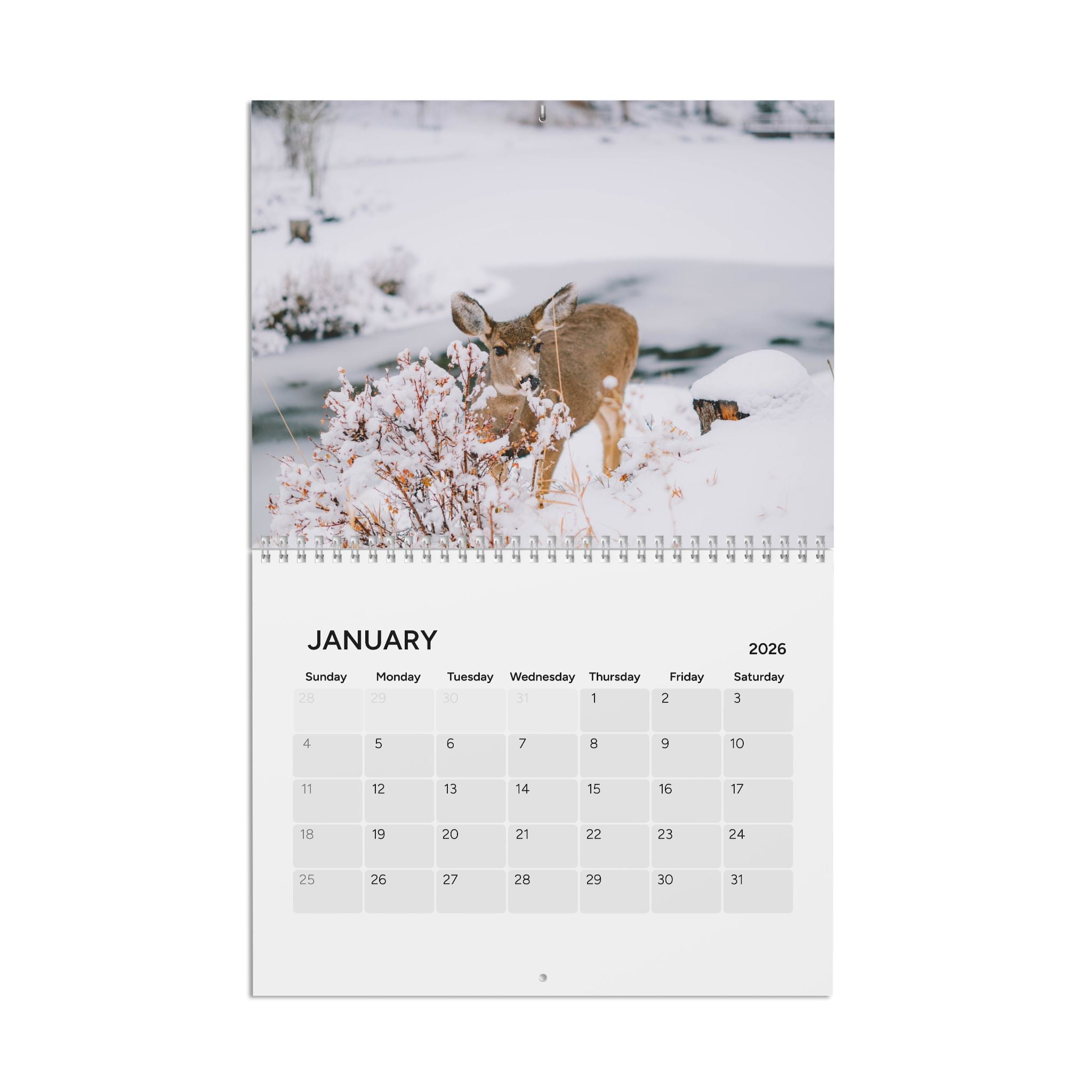 Estes Park Center 2026 Wall Calendar