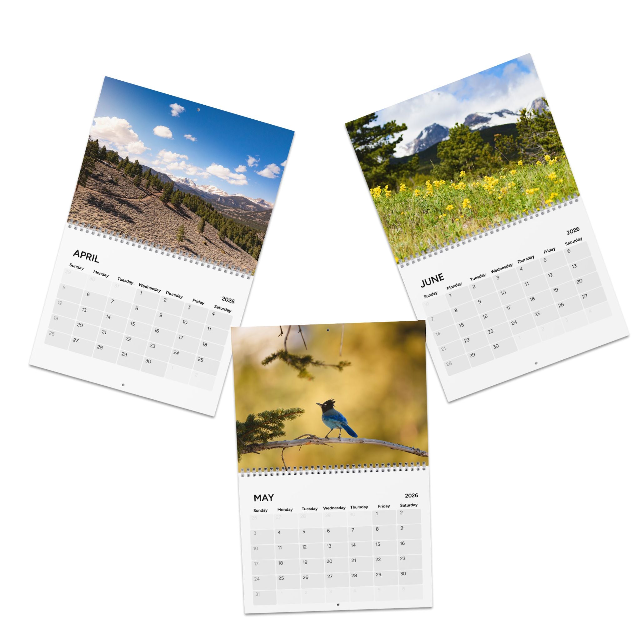 Estes Park Center 2026 Wall Calendar