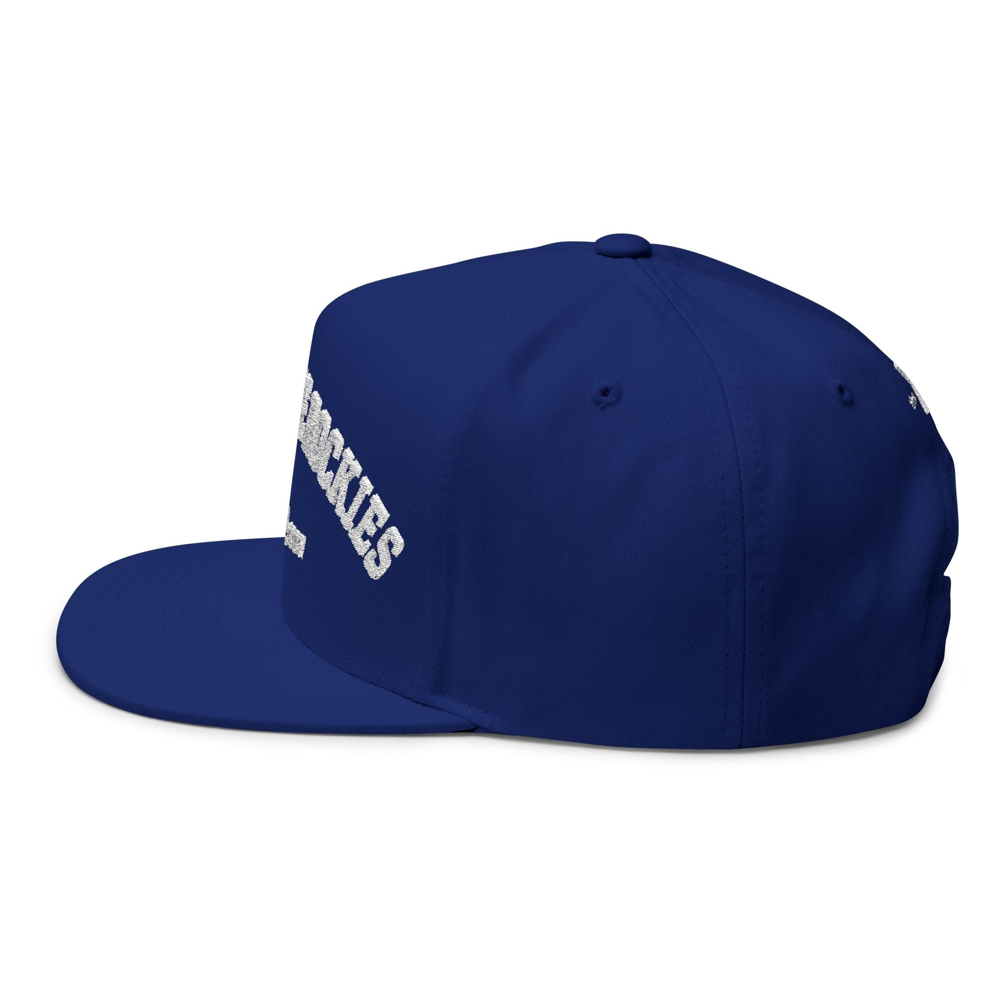 YMCA of the Rockies Retro Collegiate Flat Bill Cap