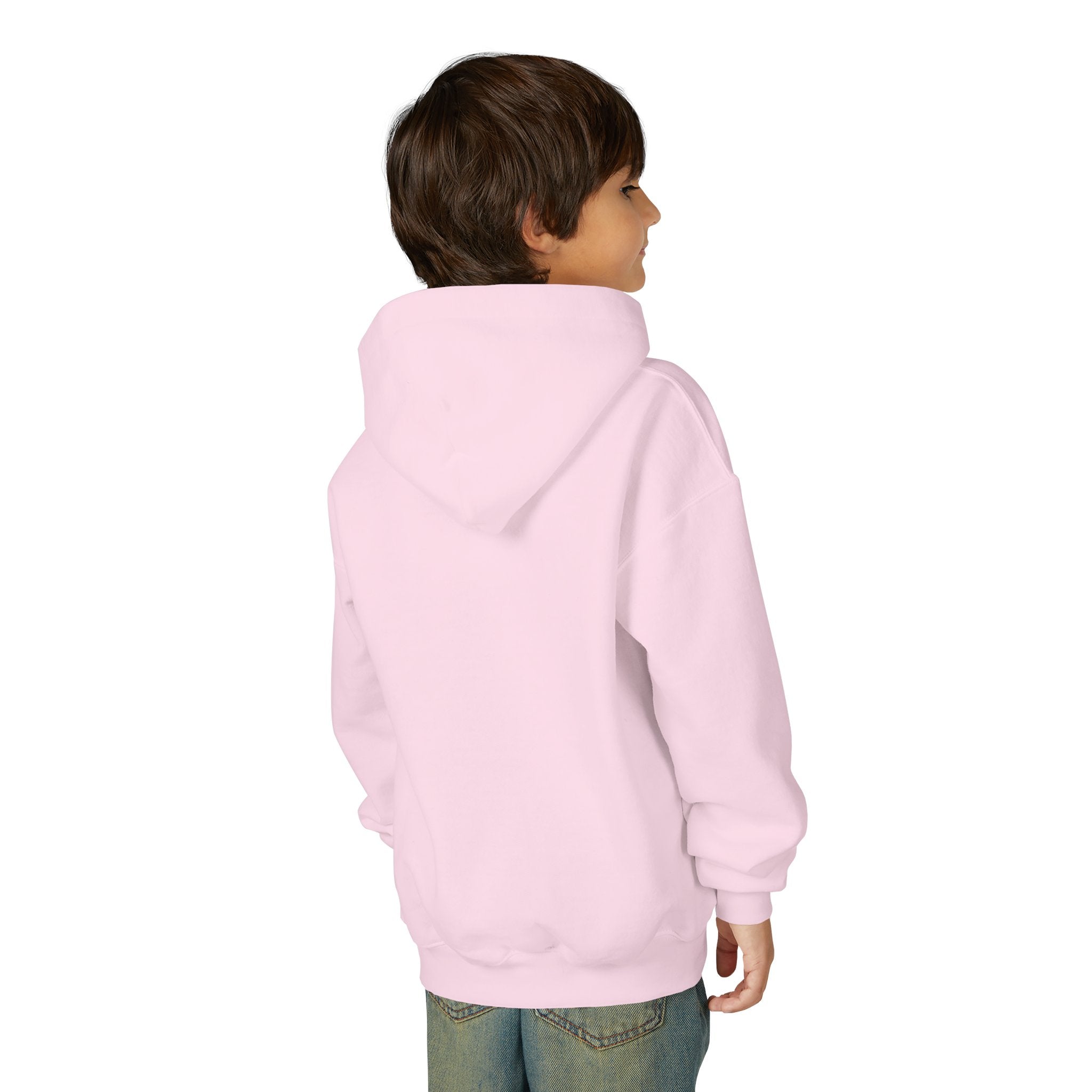 YMCA of the Rockies Youth Hoodie