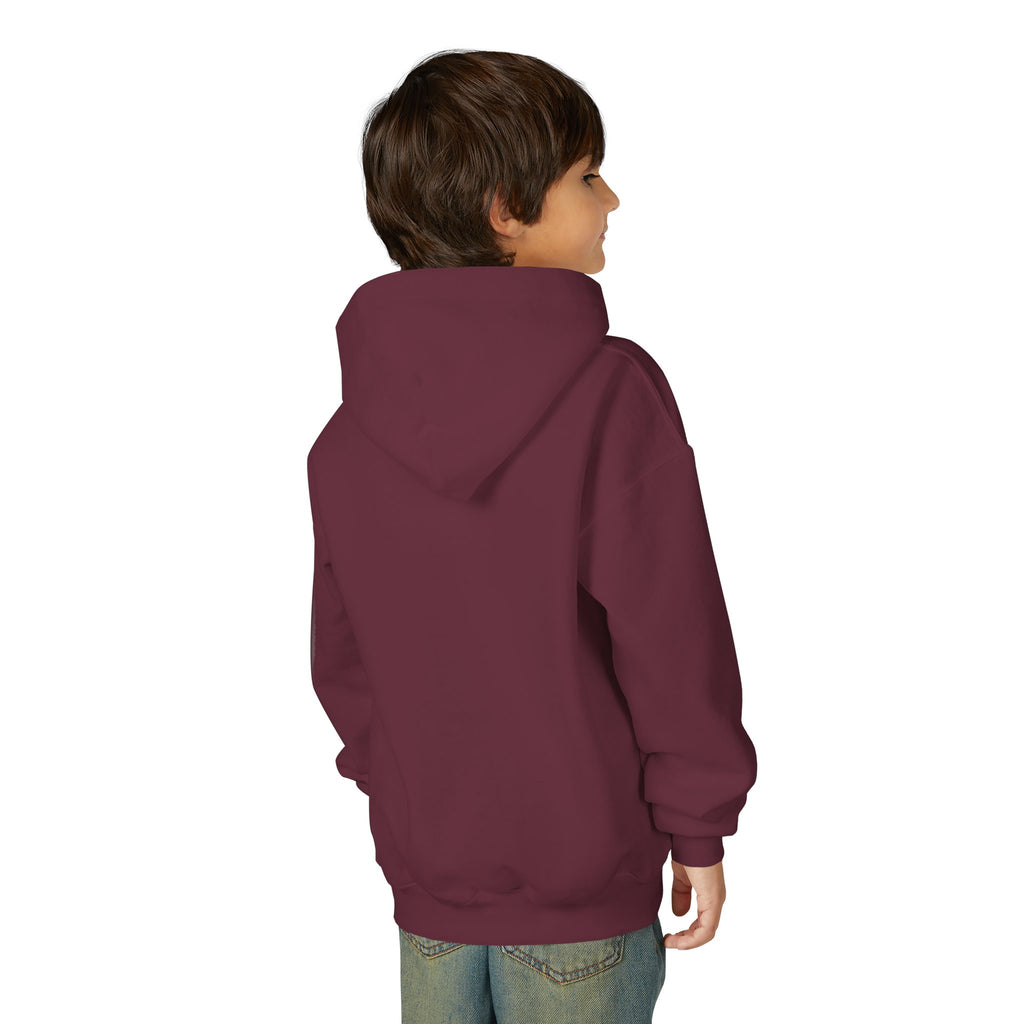 YMCA of the Rockies Youth Hoodie